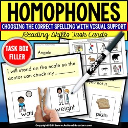 HOMOPHONES with Visual Support | Task Box Filler Activities  for Special Education